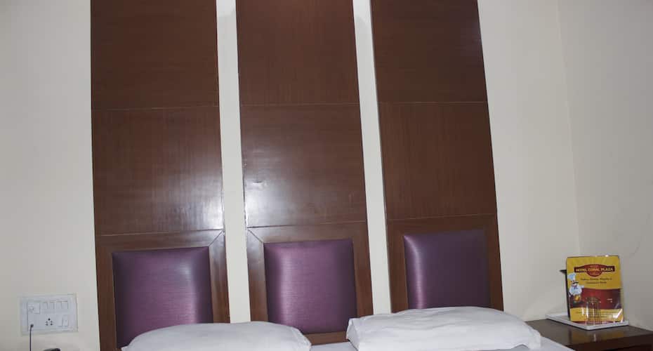 Hotel Coral Plaza, New Delhi 4